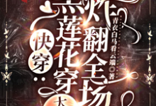 求快穿:黑莲花穿大冤种,炸翻全场小说免费资源-红梅文学