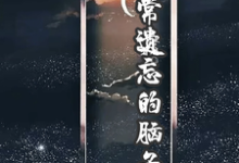 陈森冷奇瑞小说《经常遗忘的脑子》完整版免费阅读-红梅文学