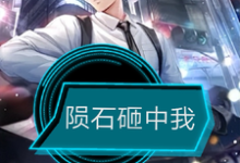 李小武小说完结版在线阅读,陨石砸中我免费看-红梅文学