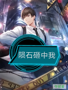 李小武小说完结版在线阅读，陨石砸中我免费看