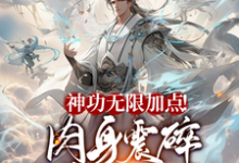 神功无限加点!肉身震碎诸天万界方阳小说在线章节免费阅读-红梅文学