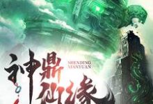 《神鼎仙缘》小说大结局免费试读 许毅小说-红梅文学