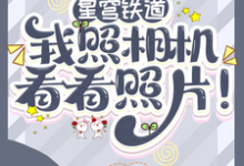 完整版小说《星穹铁道:我照相机,看看照片!》免费阅读-红梅文学