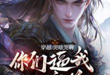 陆川风九天小说在线章节免费阅读(穿越:哭啥哭啊,你们逼我入魔道无弹窗无删减)-红梅文学