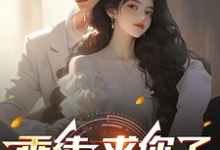 已完结小说《乖徒,求你了,下山去吧》章节免费阅读-红梅文学
