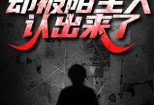 出狱后打零工,却被陌生人认出来了完整版小说,出狱后打零工,却被陌生人认出来了最新章节-红梅文学