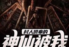 村人供奉的神仙被我娶到了林狐君小说在线章节免费阅读-红梅文学