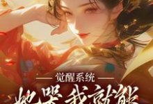 觉醒系统:她哭我就能获得灵力陆羽上官玉凰,觉醒系统:她哭我就能获得灵力小说免费阅读-红梅文学