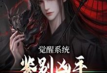 沈墨小说完结版在线阅读,觉醒系统:鉴别凶手只靠火眼金睛免费看-红梅文学