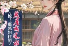 完结版《惊!那恶妇住的鬼屋成风水宝地了》章节阅读-红梅文学