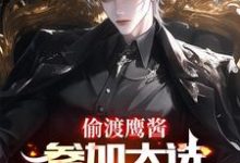 免费看偷渡鹰酱,参加大选不过分吧?小说的网站有哪些?-红梅文学