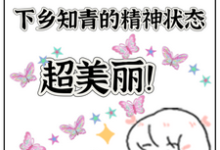 哪里能找到七零,下乡知青的精神状态超美丽小说的全部章节?-红梅文学