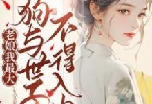 《老娘我最大,狗与世子不得入内》吴恙李秉乾完整版小说免费阅读-红梅文学