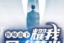 完结版《挥师南下,耀我军人荣光》免费阅读-红梅文学