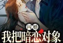 《闪婚,我把暗恋对象抱回了家》阮鸢裴池小说免费阅读完整版-红梅文学