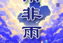 已完结小说《雨非雨》章节在线阅读-红梅文学