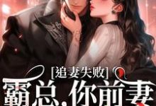 乔景熙战景墨小说免费阅读完整版-红梅文学