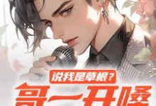 完结版《说我是草根？哥一开嗓就秒杀》免费阅读-红梅文学