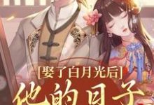 盛栖月萧玉衡小说《娶了白月光后,他的日子鸡飞狗跳》在线阅读-红梅文学