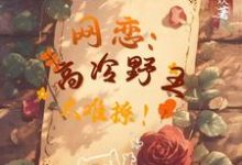 求网恋:高冷野王太难撩!小说的全文免费阅读链接-红梅文学