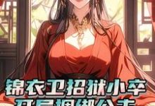 《锦衣卫招狱小卒,开局捆绑公主》陆锋小说免费阅读完整版-红梅文学