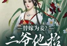 替嫁为妾?二爷他抬我为妻章节免费在线阅读,景韫昭苏璃棠完结版-红梅文学