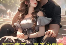 完整版《都市疯子:妻子的假面》小说免费阅读-红梅文学