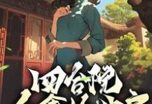 完结版《四合院:众禽抢我房?我抢淮茹住新房!》免费阅读-红梅文学