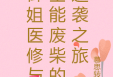 御姐医修与全能废柴的逆袭之旅小说的免费阅读版本在哪里可以找到?-红梅文学