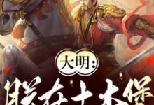 已完结小说《大明:朕在土木堡杀疯了》章节在线阅读-红梅文学