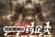 小说《双穿黑神话:药企卖还魂丹怎么了》章节免费阅读-红梅文学