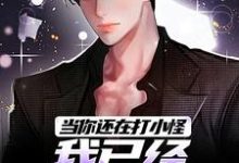 当你还在打小怪,我已经觉醒双职业免费阅读,当你还在打小怪,我已经觉醒双职业章节在线阅读-红梅文学