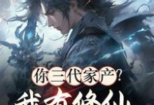 你三代家产?我有修仙小世界资源林十一小说在线章节目录阅读最新章节-红梅文学