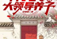 年代七零,开局大领导养子周子安小说免费阅读-红梅文学