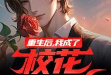 完结版《重生后，我成了校花的舔狗》在线免费阅读-红梅文学