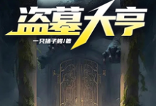 盗墓大亨小说全文哪里可以免费看?-红梅文学