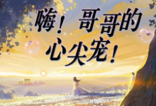 嗨!哥哥的心尖宠!章节免费在线阅读,冷萧宇夏之微完结版-红梅文学