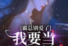 霸总别爱了,我要当单身辣妈小说免费资源,霸总别爱了,我要当单身辣妈在线阅读-红梅文学