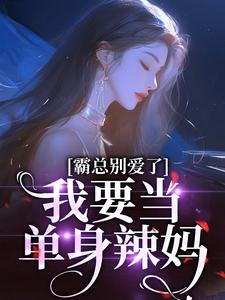 霸总别爱了，我要当单身辣妈小说免费资源，霸总别爱了，我要当单身辣妈在线阅读