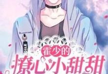 完结版《霍少的撩心小甜甜又暴富了》章节阅读-红梅文学