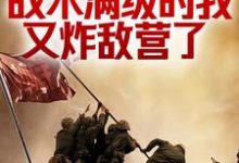 抗战:战术满级的我又炸敌营了小说的免费阅读版本在哪里可以找到?-红梅文学
