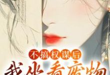 已完结小说《不搞权谋后,我坐看废物儿女作死》章节在线阅读-红梅文学