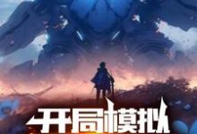 林北完整版小说免费阅读-红梅文学