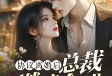 已完结小说《协议离婚后,总裁燃遍全球》在线章节阅读-红梅文学