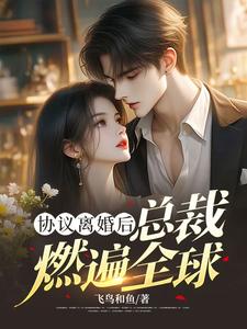 已完结小说《协议离婚后，总裁燃遍全球》在线章节阅读