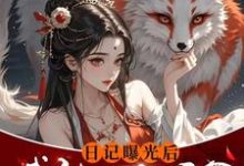 已完结小说《日记曝光后我被四个侯爷盯上了》在线章节阅读-红梅文学