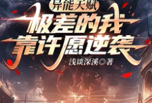已完结小说《异能天赋极差的我靠许愿逆袭》章节免费阅读-红梅文学