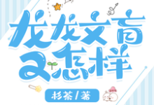 龙龙文盲又怎样小说阅读,龙龙文盲又怎样完结版-红梅文学