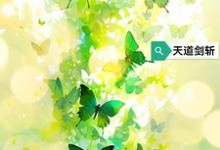 天道剑斩这本小说怎么样?免费在线阅读试试-红梅文学