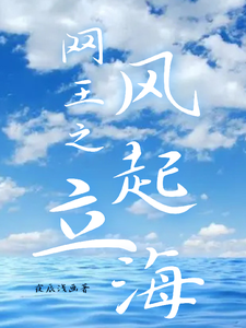 网王之风起立海小说阅读，网王之风起立海完结版